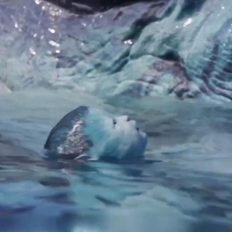 《地狱潜者2》难9通关秘籍：深度解析副本攻略技巧