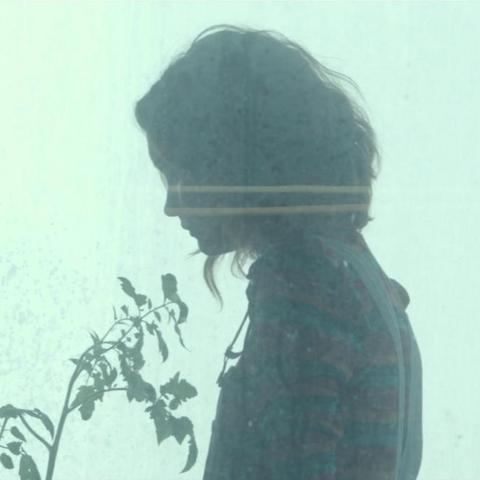 JAR-5主宰深度测评：揭秘炸弹利器，实战表现如何？