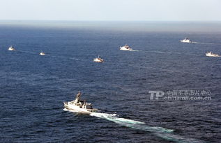 《碧海黑帆》毕业船队搭配攻略：打造最强舰队秘籍