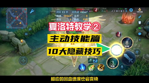 夏洛特输出技巧精讲：高效输出新攻略