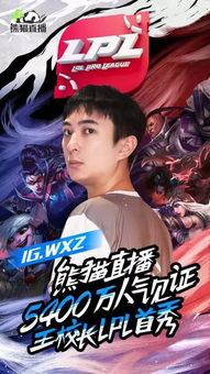 电竞巅峰对决：王者荣耀解说暗讽引热议，英雄联盟首冠另有高人！