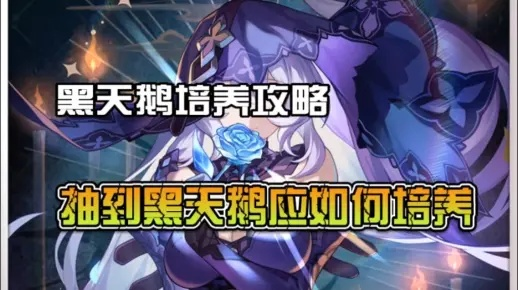 《崩坏星穹铁道》黑天鹅遗器攻略：优化词条选择技巧解析