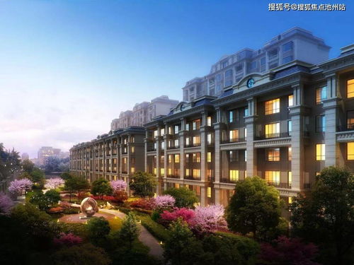 古龙传奇揭秘：地方传闻攻略全解析