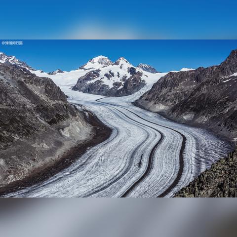 《如龙8》全证攻略揭秘：高效考证流程深度解析