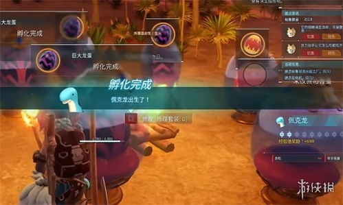 《幻兽帕鲁》孵蛋秘籍速查，轻松解锁新价值！