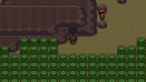 《幻兽帕鲁》白绒雪怪捕捉攻略：091神秘地点大揭秘