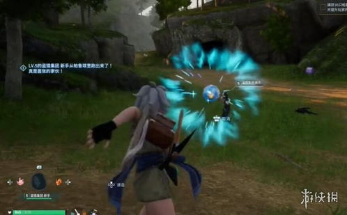 《幻兽帕鲁》探秘：012号雷棘鼠捕捉攻略揭秘！