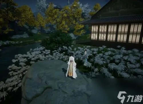 《射雕》无定坊攻略揭秘：梦华录任务位置新攻略指南