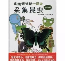 斗虫修行首日攻略，高效策略助你轻松通关新境界