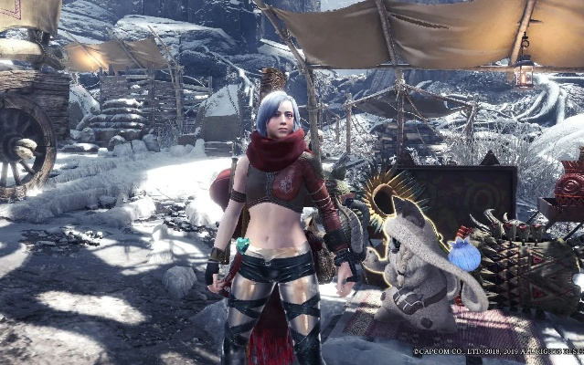 《怪物猎人世界》女角色幻变风采大揭秘，独家美图赏析！