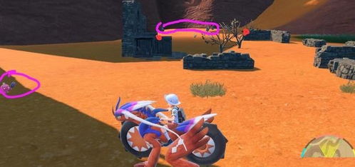 《宝可梦朱紫》DLC外传攻略：解锁零之秘宝，探秘全新冒险之旅