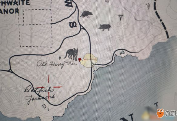 《荒野大镖客2》动物毛皮高效获取攻略，解锁全新养殖技巧