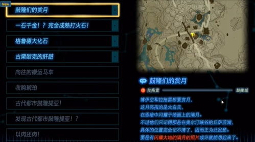 《塞尔达传说》全鸟望台解锁秘籍，解锁新境界攻略解析