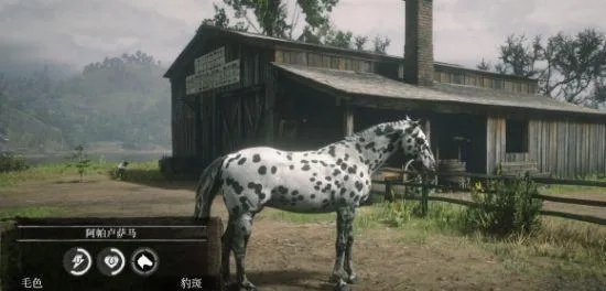 《荒野大镖客2》顶级骏马攻略：解锁独门驯养秘籍