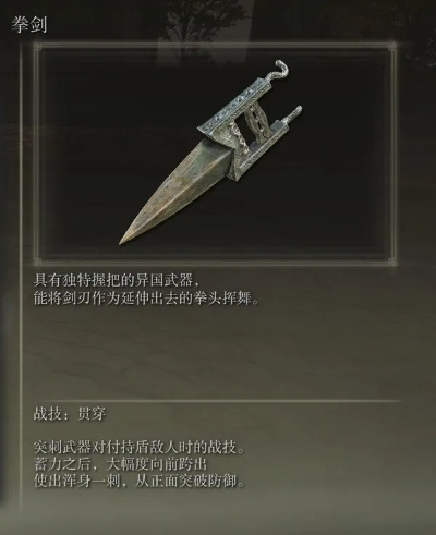 《艾尔登法环武器秘籍：全面解析与图鉴》