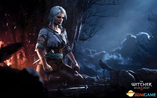 《巫师3》完美结局攻略：揭秘圣火阴影达成秘籍