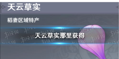 高效攻略：天云草实与雷电将军突破材料采集秘籍大揭秘