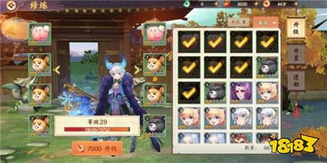 平民党雷神0命培养秘籍：高效提升攻略解析