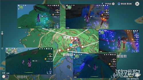 《原神》4.3突破必备：高效攻略天云草实，轻松提升雷电将军实力