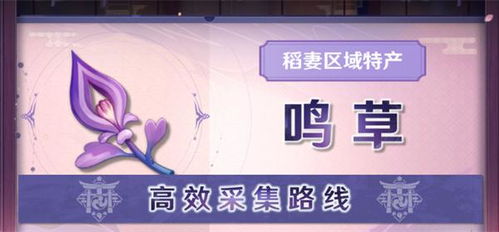 《原神》4.3宵宫突破必备：高效鸣草收集秘籍大公开