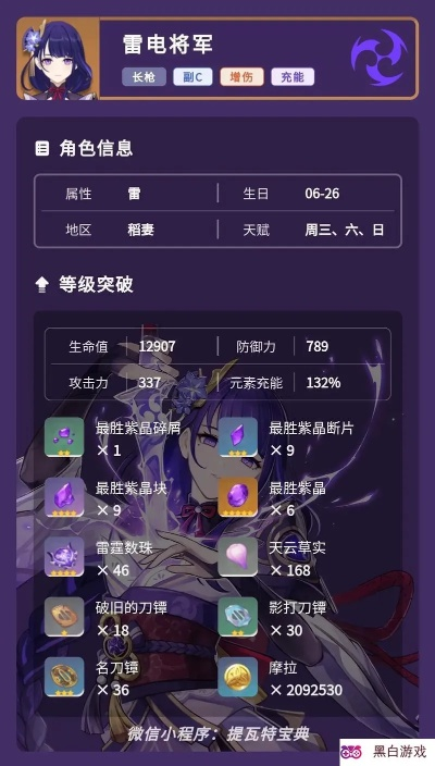 《原神》4.3攻略：雷电将军养成全解析，队伍搭配新策略揭秘