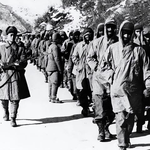 《交错战线》六星角色新手必选指南，揭秘最强阵容搭配技巧