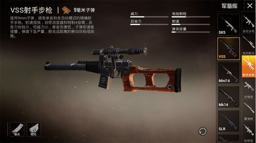 SS3枪2万亿灰锤流BD攻略，深度解析全新高效战术