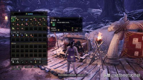 冰原重弩毕业神装解析，打造最强狩猎利器攻略揭秘