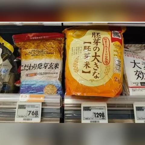 《饥荒》高效种植指南：揭秘田地丰收新策略