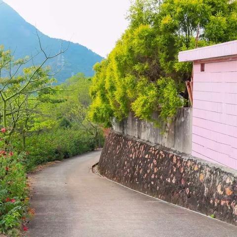 桃祈共鸣之力，揭秘《鸣潮》新篇章