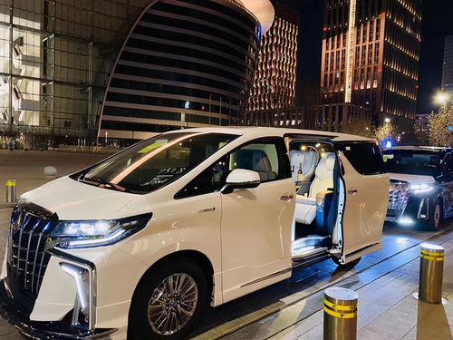 《命运方舟》职业拓展揭秘：解析辅助角色增多新价值