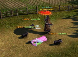 万兽山庄宠物领养攻略：解锁新队友招募秘籍