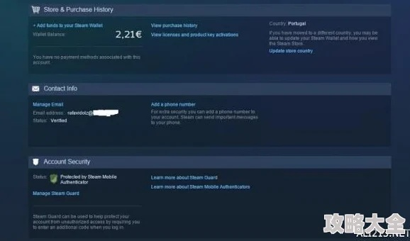 Steam冬季促销攻略：轻松查询热门游戏秘籍