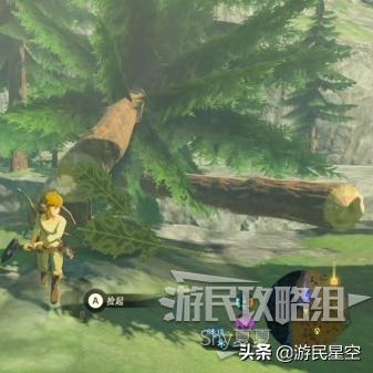 探寻《塞尔达传说》蘑菇圣地：揭秘神秘之地新线索