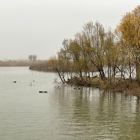 三角洲地图雷达共享神器，网页版最新入口速览！