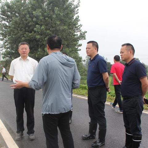 《严阵以待》全任务攻略揭秘：深度解析实战技巧与策略