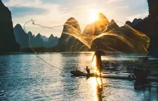 水墨竹筏探险秘籍：解锁《元梦之星》独特玩法