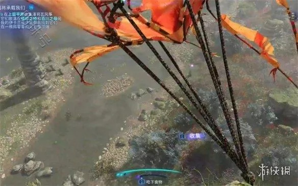 《阿凡达潘多拉边境》全飘零风筝秘境攻略，轻松解锁收藏新境界