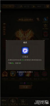 2025年woool私服风暴，如何破解升级瓶颈与PK绝杀？