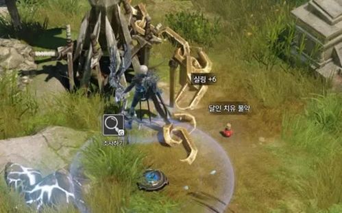 《命运方舟》惊险揭秘：来不得的《命运逆袭》