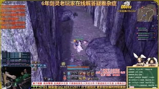 龙谷隐藏了什么惊天秘密？2025顶尖玩家独家战术引爆新发现！