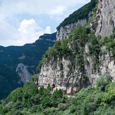 莲花古城星礈攻略：高效打法解析，掌握莲花古城制胜之道