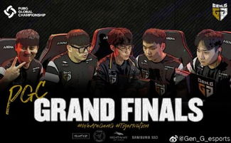 微风岛屿EDG战队战术解析：揭秘无畏新篇章