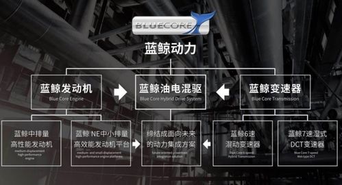 VR沉浸体验，绝区零二测试炼玩法深度解析，揭秘全新价值挑战！