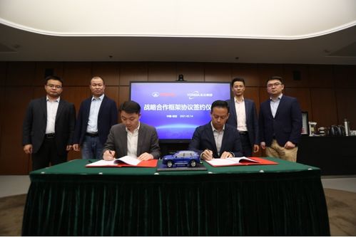 《P5T二体合成揭秘：战略版处刑表新篇章》