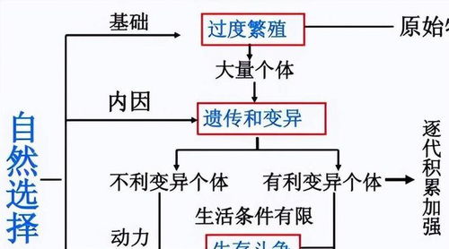 《珊瑚岛》钓鱼捉虫攻略：盖房建家新玩法深度解析