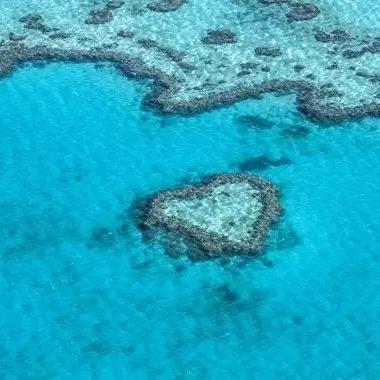 珊瑚岛NPC礼物偏好大揭秘，解锁个性馈赠新攻略