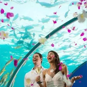 珊瑚岛探秘：揭秘全新水下地图结构价值解析