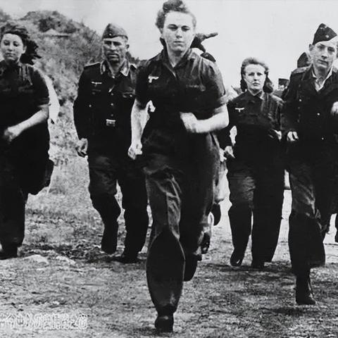 《从军》坦克速成攻略：新手必看，掌握核心技巧！