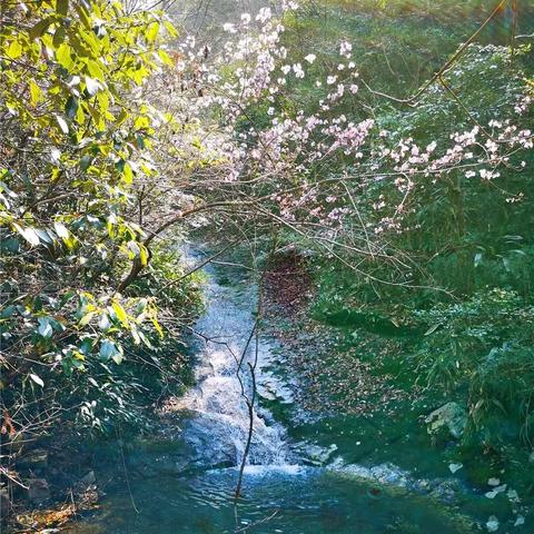 卡拉OK秘境解锁，如龙7外传探秘新价值